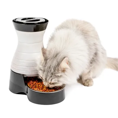 Alimentador por gravidade PetSafe Healthy Pet Food Station preto e branco com um gato comendo na tigela de inox