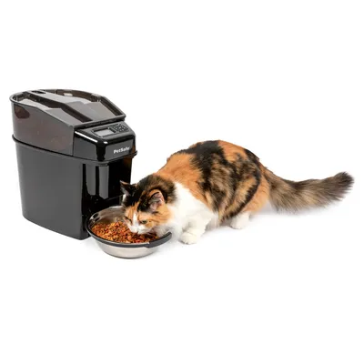Alimentador automático PetSafe Simply Feed preto com tigela de inox e um gato comendo